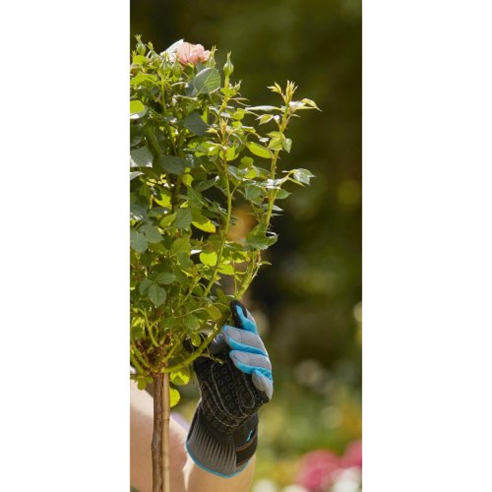 Рукавички для робіт із трояндами Gardena Oeko-Tex® 8/M