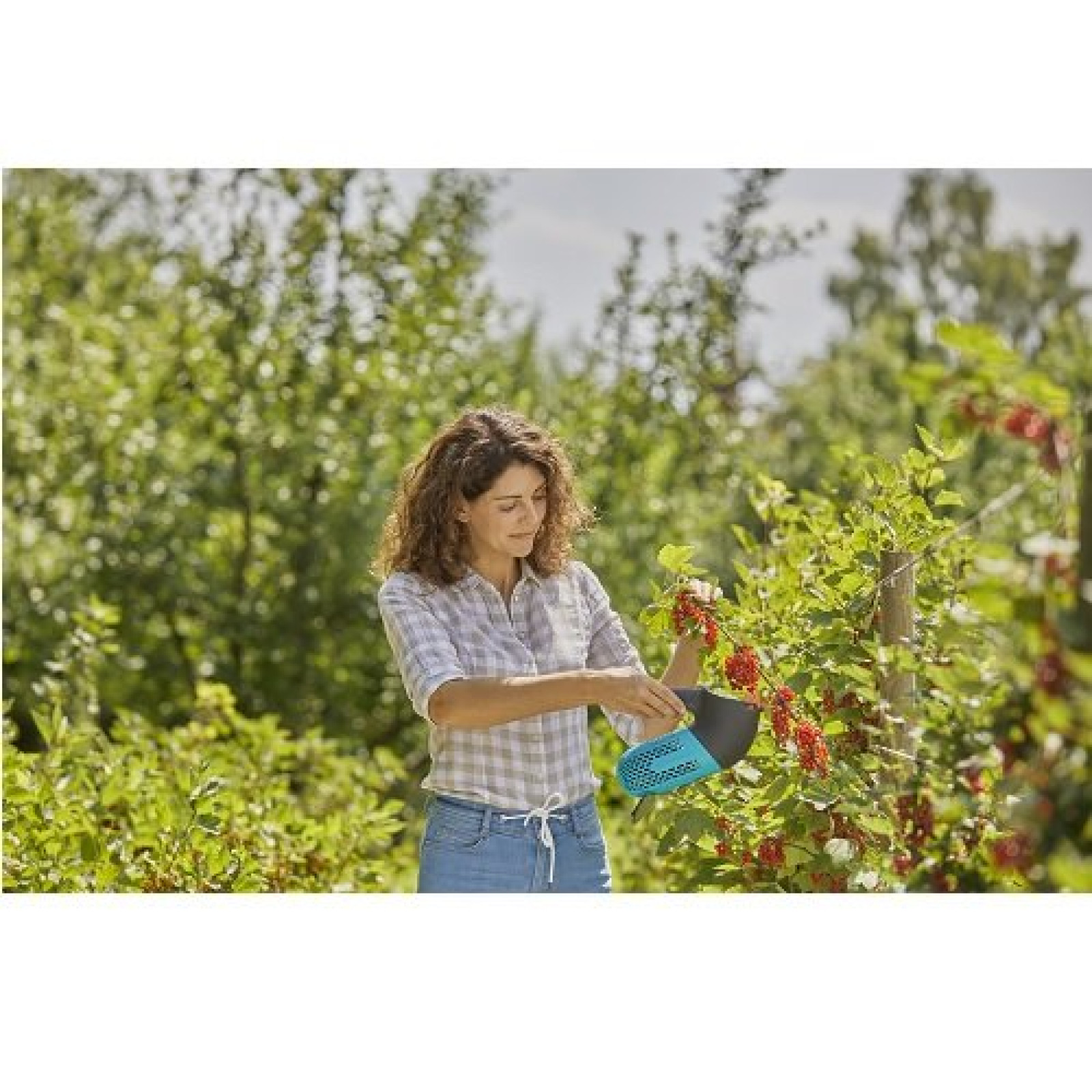 Плодосъемник для сбора ягод Gardena Combisystem BerryPicker