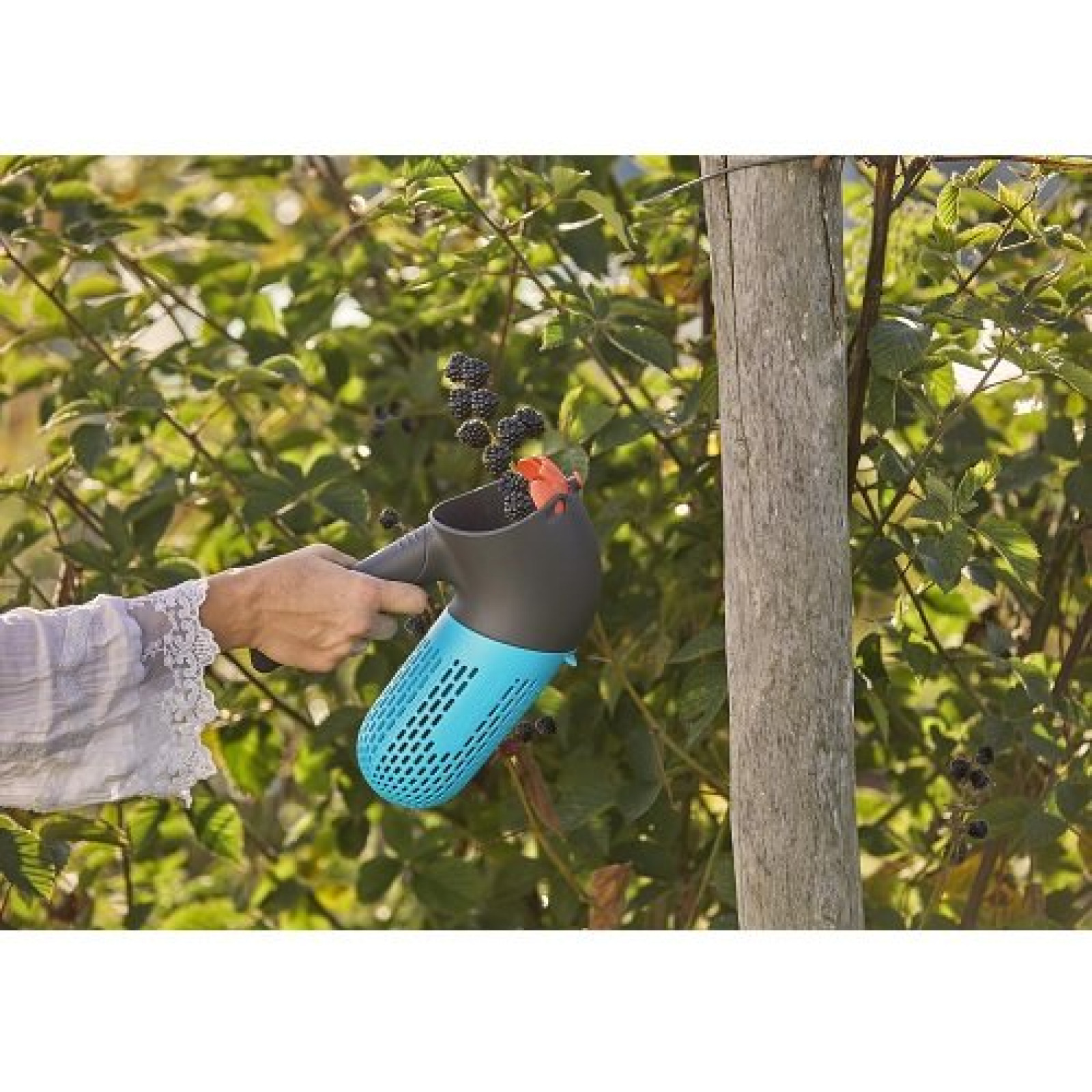 Плодосъемник для сбора ягод Gardena Combisystem BerryPicker