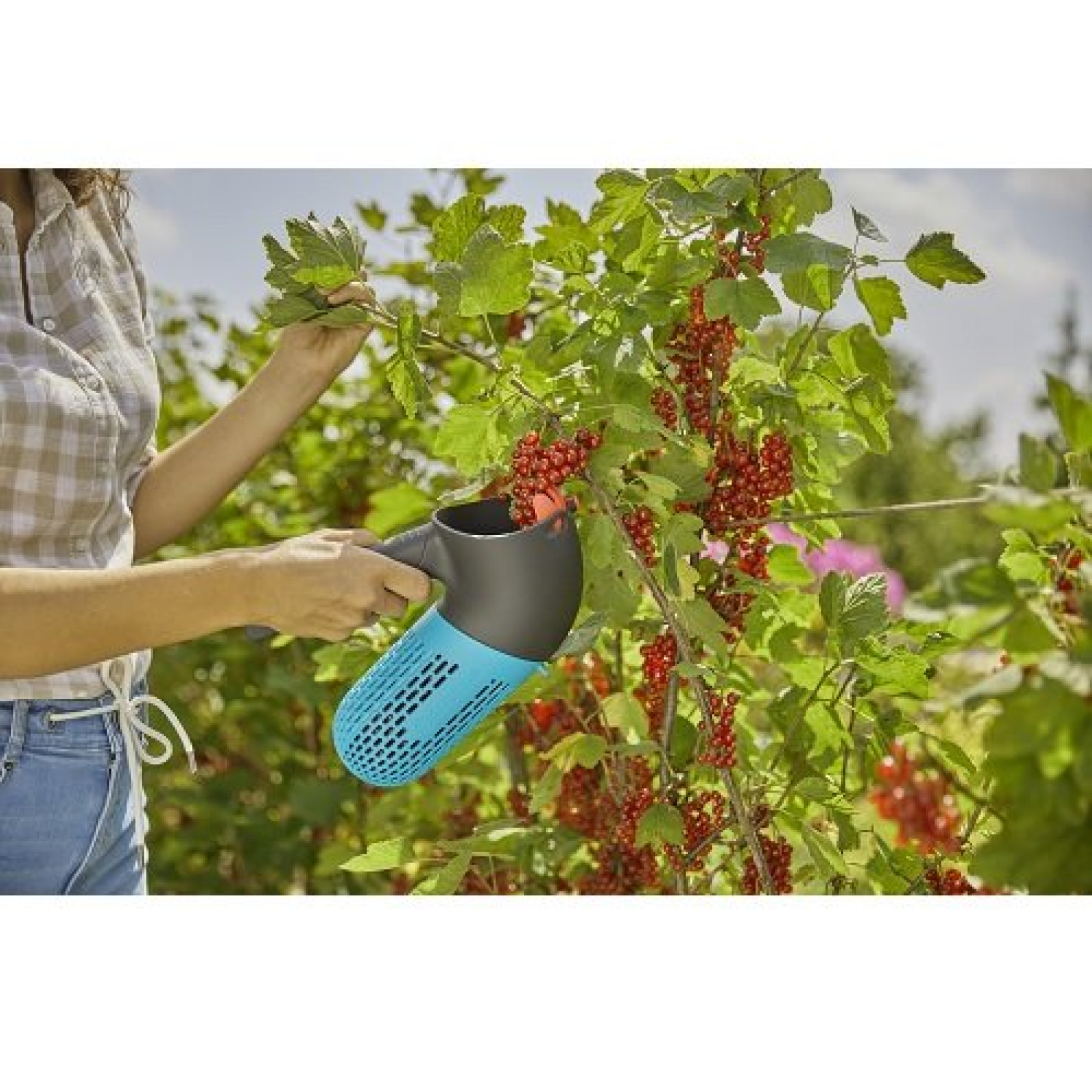 Плодосъемник для сбора ягод Gardena Combisystem BerryPicker