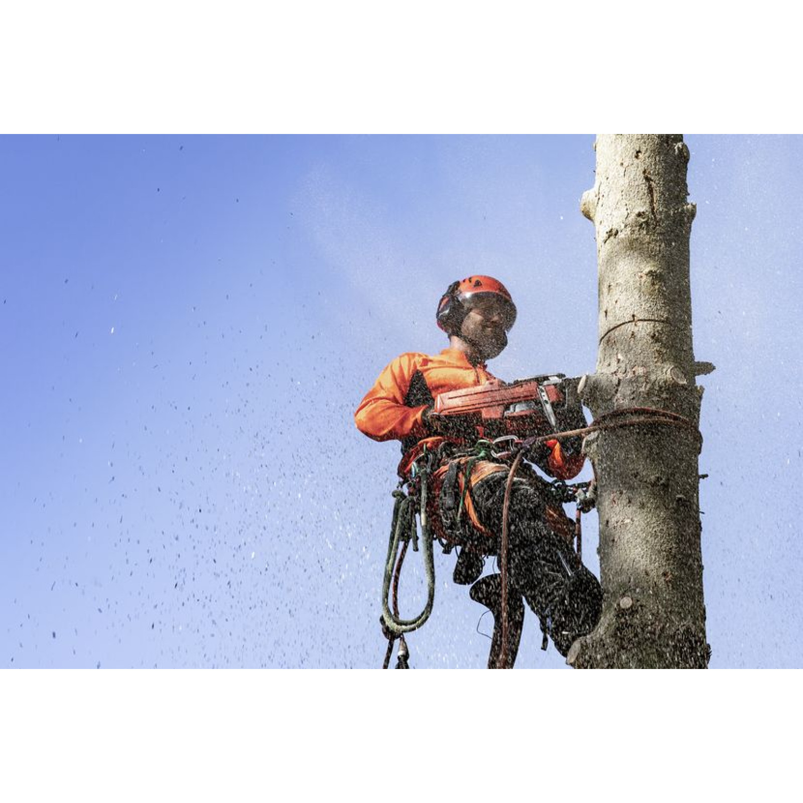 Бензопила Husqvarna 550XP II