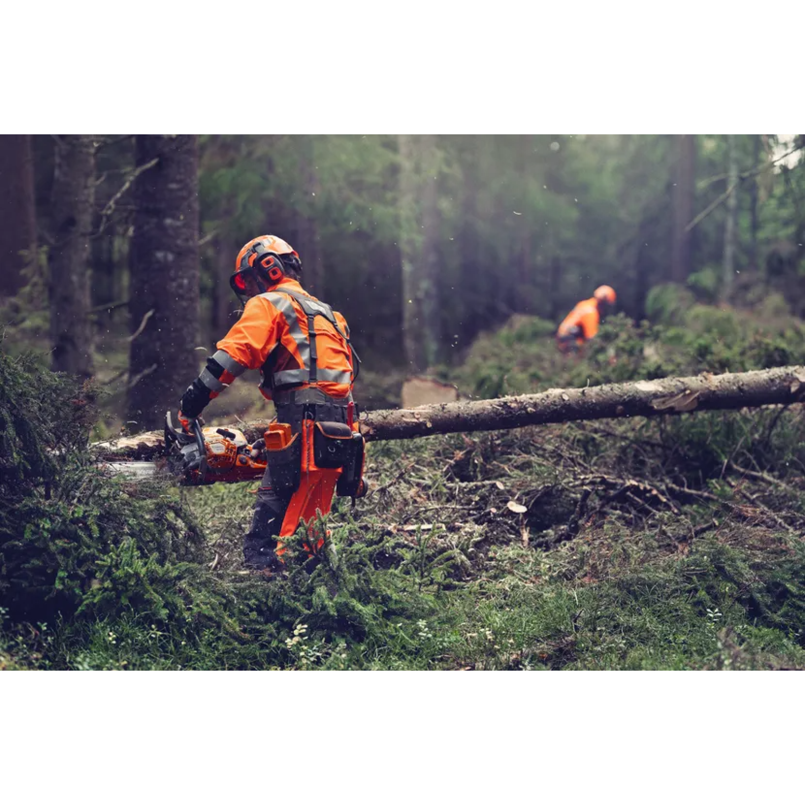 Бензопила Цепная Профессиональная Husqvarna 564XP 9707114-18